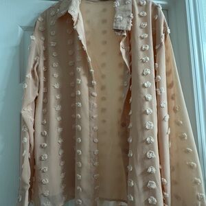 Sheer Peach Textured Blouse